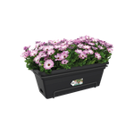 green basics balkonkasten xl allin1 55cm living schwarz